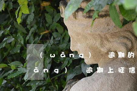 網(wǎng)貸逾期的征信怎么辦(網(wǎng)貸逾期上征信可以申訴嗎)