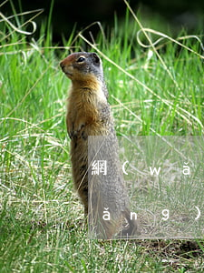 網(wǎng)貸逾期的朋友注意了(網(wǎng)貸逾期了會(huì)怎樣)