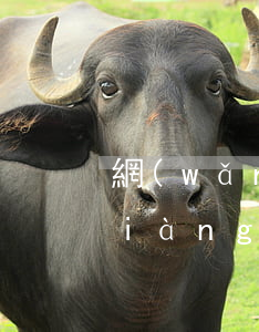 網(wǎng)貸逾期的朋友注意事項(xiàng)