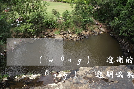 網(wǎng)貸逾期的滯納金合法嗎(網(wǎng)貸逾期收取高額滯納金是否合法)