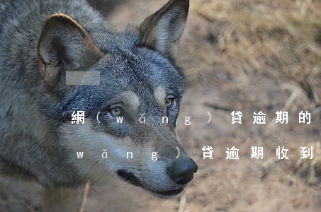 網(wǎng)貸逾期的短信開庭通知(網(wǎng)貸逾期收到短信通知開庭是真的嗎)