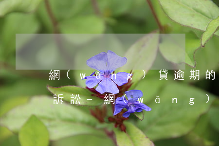 網(wǎng)貸逾期的第50天要被集體訴訟-網(wǎng)貸逾期的第50天要被集體訴訟怎么辦