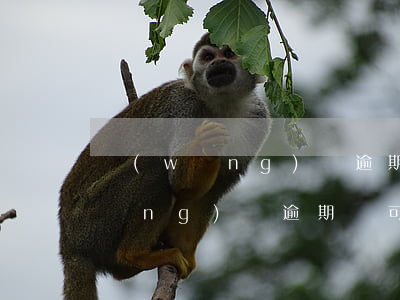 網(wǎng)貸逾期的能住賓館嗎(網(wǎng)貸逾期過可以辦房貸嗎)