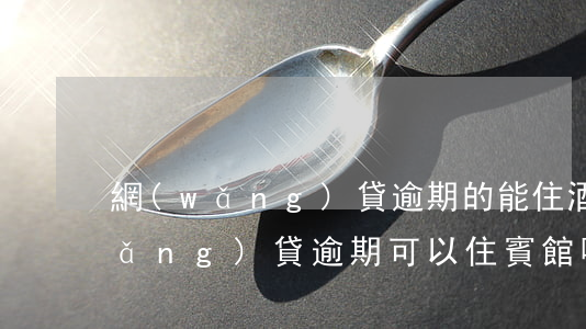 網(wǎng)貸逾期的能住酒店嗎(網(wǎng)貸逾期可以住賓館嗎?)