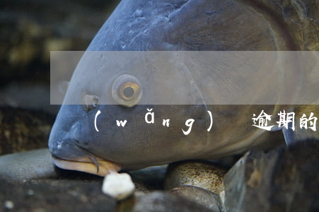 網(wǎng)貸逾期的起訴案例