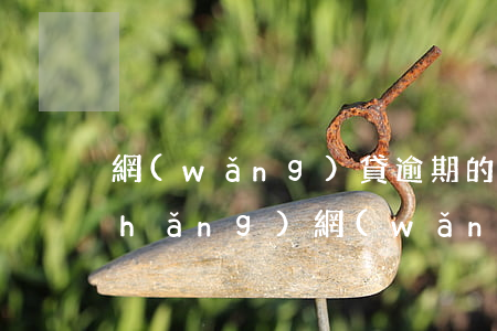 網(wǎng)貸逾期的追訴期是多長(zhǎng)(網(wǎng)貸逾期多大金額會(huì)被起訴)
