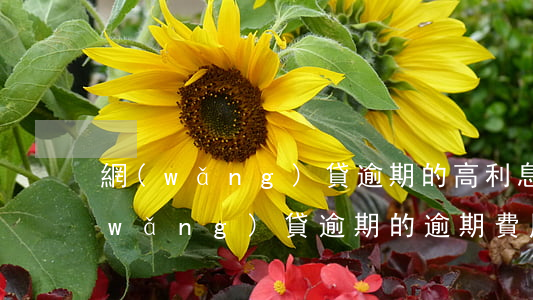 網(wǎng)貸逾期的高利息怎么么(網(wǎng)貸逾期的逾期費用要還嗎?)
