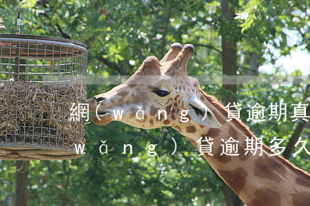 網(wǎng)貸逾期真會限成高鐵嗎(網(wǎng)貸逾期多久不可以乘坐高鐵)