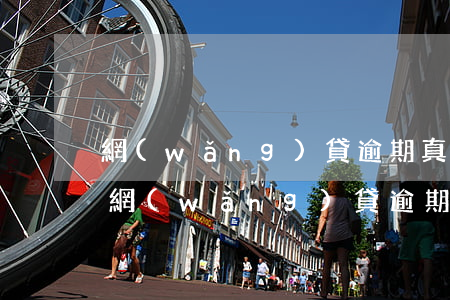 網(wǎng)貸逾期真正的解決辦法(解決網(wǎng)貸逾期最好的辦法)