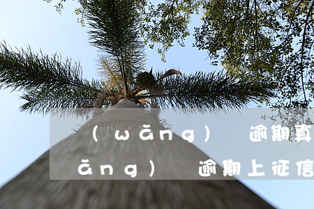 網(wǎng)貸逾期真的上征信嗎(網(wǎng)貸逾期上征信有什么后果)