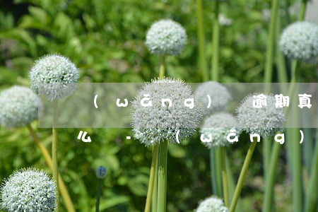 網(wǎng)貸逾期真的收到律師函了怎么辦-網(wǎng)貸逾期真的收到律師函了怎么辦呢
