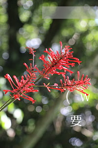 網(wǎng)貸逾期真的會(huì)上門要嗎(網(wǎng)貸逾期真的會(huì)上門要嗎)