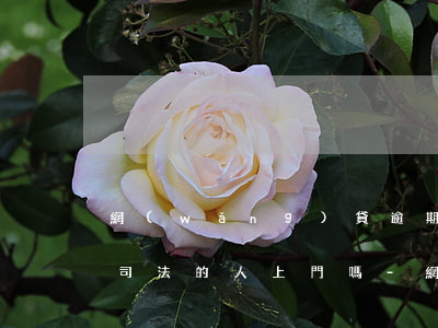 網(wǎng)貸逾期真的會(huì)有司法的人上門嗎-網(wǎng)貸逾期真的會(huì)有司法的人上門嗎知乎