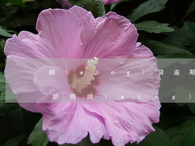 網(wǎng)貸逾期真的會(huì)起訴嗎(網(wǎng)貸逾期多久會(huì)被起訴會(huì)有什么后果)