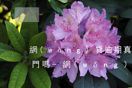 網(wǎng)貸逾期真的會有司法的人上門嗎-網(wǎng)貸逾期真的會有司法的人上門嗎知乎
