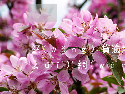 網(wǎng)貸逾期真的會立案嗎(正規(guī)網(wǎng)貸逾期多久會被起訴)