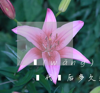 網(wǎng)貸逾期眾安保險理賠(眾安保險代償后多久起訴)