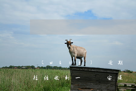 網(wǎng)貸逾期眾安保險發(fā)短信(收到一條眾安保險短信)