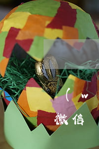 網(wǎng)貸逾期短信凍結(jié)微信(網(wǎng)貸逾期收到短信)