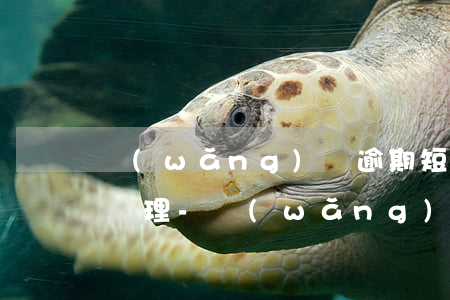 網(wǎng)貸逾期短信收到律師函怎么處理-網(wǎng)貸逾期短信收到律師函怎么處理呢