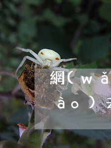 網(wǎng)貸逾期短信收到要幾號(hào)去法院(網(wǎng)貸逾期收到短信說今天要通過司法程序是真的嗎)