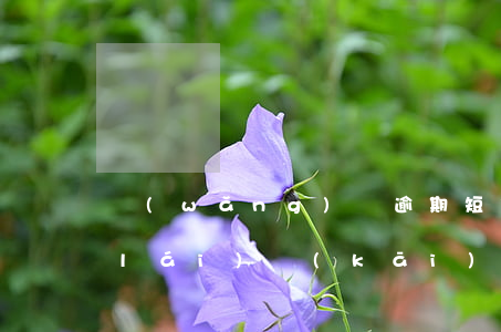 網(wǎng)貸逾期短信發(fā)來(lái)開(kāi)庭(網(wǎng)貸逾期收到法院短信)
