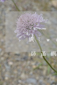 網(wǎng)貸逾期短信發(fā)來律師函(網(wǎng)貸逾期收到短信律師函)
