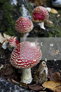 網(wǎng)貸逾期短信說上門拘捕(網(wǎng)貸逾期發(fā)短信說要上門)