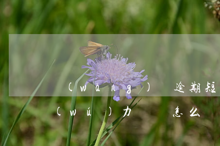 網(wǎng)貸逾期短時(shí)間無(wú)力償還怎么協(xié)商-網(wǎng)貸逾期短時(shí)間還不上怎么辦