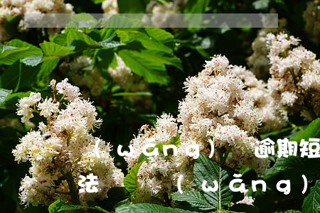 網(wǎng)貸逾期短期內(nèi)無法償還(網(wǎng)貸逾期一直不還最終后果會(huì)怎樣)