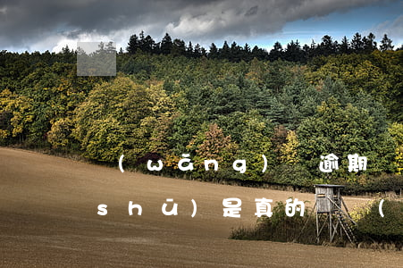 網(wǎng)貸逾期確認(rèn)書(shū)是真的嗎(網(wǎng)貸逾期證明)
