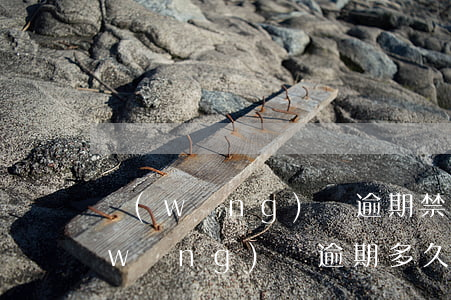 網(wǎng)貸逾期禁止坐高鐵多久(網(wǎng)貸逾期多久會影響坐高鐵)