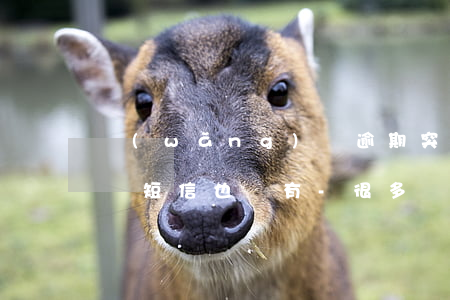 網(wǎng)貸逾期突然一個(gè)電話短信也沒有-很多網(wǎng)貸逾期突然電話沒了