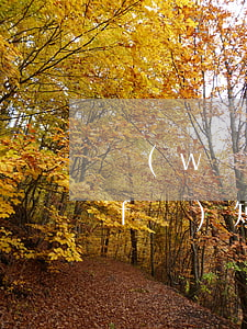 網(wǎng)貸逾期突然不打電話只發(fā)短信了-網(wǎng)貸逾期突然不打電話只發(fā)短信了怎么辦