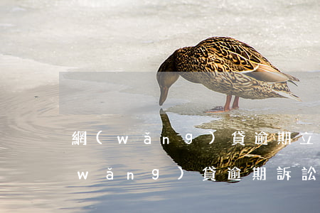 網(wǎng)貸逾期立案審判要多久(網(wǎng)貸逾期訴訟時效是多久)