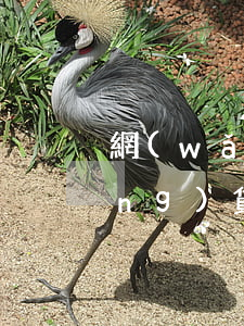 網(wǎng)貸逾期立案通告函（網(wǎng)貸逾期發(fā)來(lái)起訴通知）