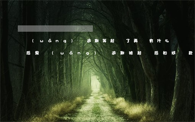 網(wǎng)貸逾期等起訴了再還有什么后果（網(wǎng)貸逾期被起訴后如何還款）