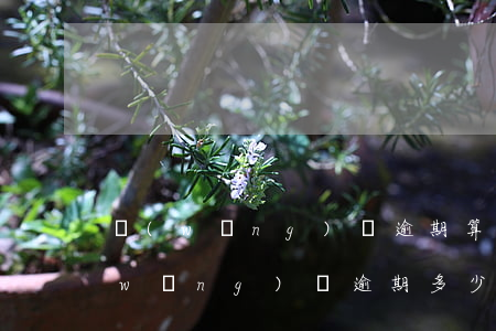 網(wǎng)貸逾期算不算違法犯罪(網(wǎng)貸逾期多少算刑事案件)