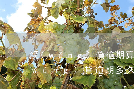 網(wǎng)貸逾期算是合同詐騙嗎(網(wǎng)貸逾期多久構(gòu)成詐騙罪嗎)