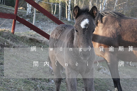 網(wǎng)貸逾期算連三累六是多長時間內(nèi)-網(wǎng)貸逾期連3累6
