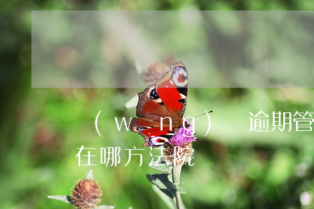 網(wǎng)貸逾期管理權(quán)在哪方法院