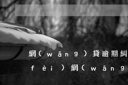 網(wǎng)貸逾期糾紛律師咨詢免費(fèi)（網(wǎng)貸逾期糾紛律師）