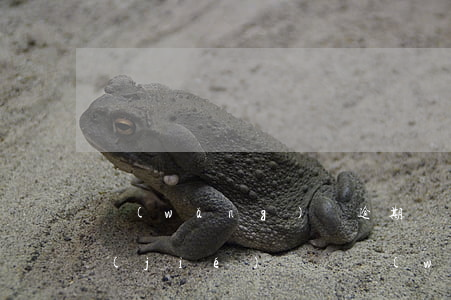 網(wǎng)貸逾期結(jié)案凍結(jié)賬戶(網(wǎng)貸逾期仲裁凍結(jié)所有銀行賬戶)