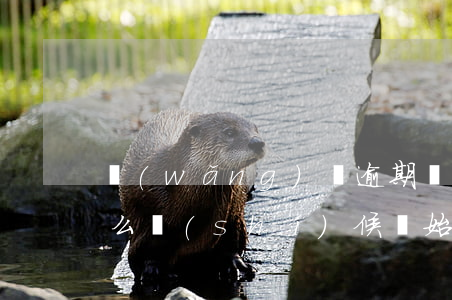 網(wǎng)貸逾期結(jié)案后什么時(shí)候開始還款-網(wǎng)貸逾期結(jié)案后什么時(shí)候開始還款呢