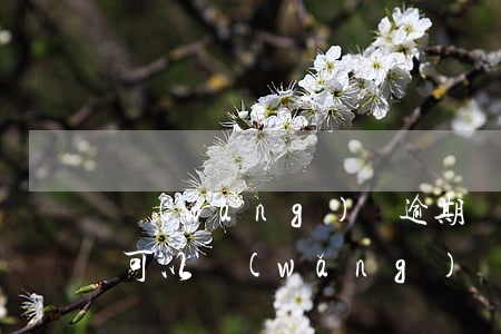 網(wǎng)貸逾期結(jié)清多久可以(網(wǎng)貸逾期結(jié)清多久可以辦信用卡)