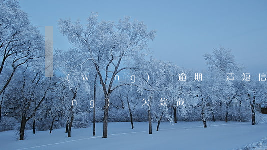 網(wǎng)貸逾期結清短信截圖(網(wǎng)貸欠款截圖)