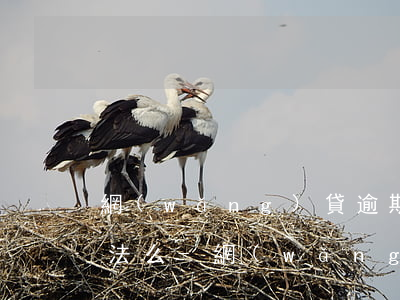 網(wǎng)貸逾期給我家里人打電話違法么-網(wǎng)貸逾期給我家里人打電話違法么