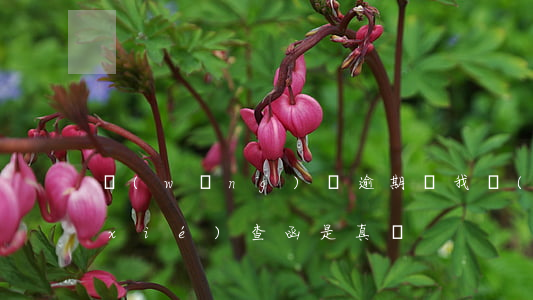 網(wǎng)貸逾期給我發(fā)協(xié)查函是真嗎