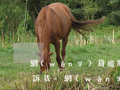 網(wǎng)貸逾期給村委會打電話說起訴我-網(wǎng)貸逾期給村委會打電話說起訴我是真的嗎