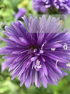 網(wǎng)貸逾期給親友發(fā)信息(網(wǎng)貸逾期收到短信)